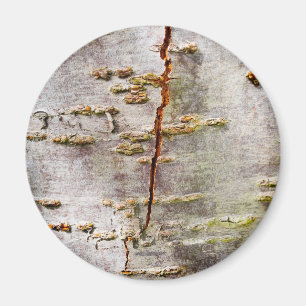 Gebrochene Birkenrinde Magnet