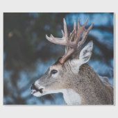 GEBROCHENE DEINE IN TILT SHIFT LENS GESCHENKPAPIER (Flach)