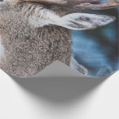 GEBROCHENE DEINE IN TILT SHIFT LENS GESCHENKPAPIER (Ecke)