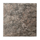 Gebrochener trockener fliese (Vorderseite)