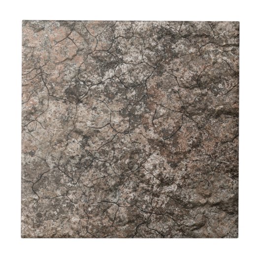 Gebrochener trockener fliese (Vorderseite)