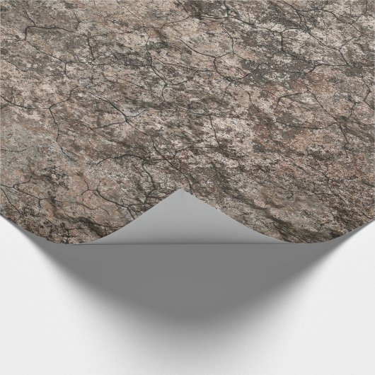 Gebrochener trockener geschenkpapier (Ecke)