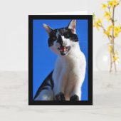 Gebrüll der Hauskatze Karte (Gelbe Blume)