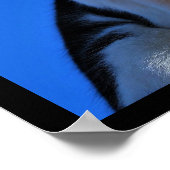 Gebrüll der Hauskatze Poster (Ecke)