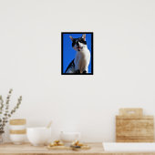 Gebrüll der Hauskatze Poster (Küche)