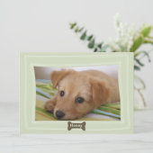 Gebt einem Hund ein Foto mit Knochen Ankündigung (Stehend Vorderseite)