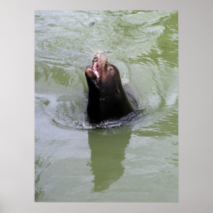 Gebt mir Fische...JETZT Poster