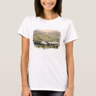 Gebühr der helle Kavallerie-Brigade, am 25. T-Shirt