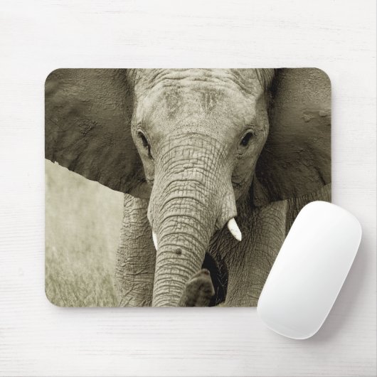 Gebühr des afrikanischen Elefanten, Tiersafari Mousepad (Mit Mouse)