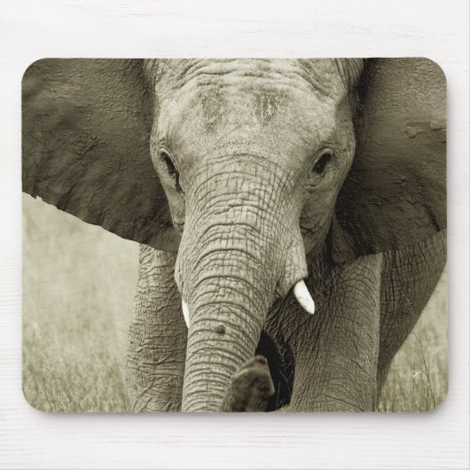 Gebühr des afrikanischen Elefanten, Tiersafari Mousepad (Vorne)