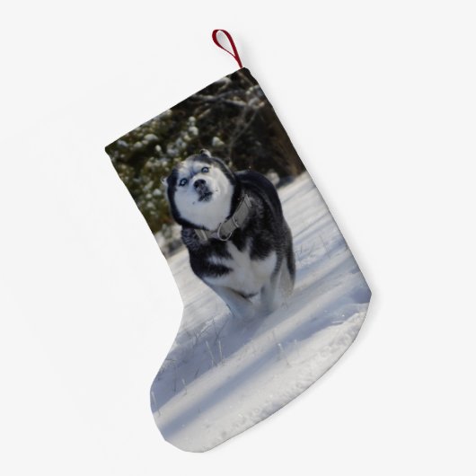 Gebühr durch Husky Weihnachts-Strumpf Kleiner Weihnachtsstrumpf (Rückseite (Hängend))