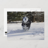 Gebühren über Postkarte (Vorne/Hinten)