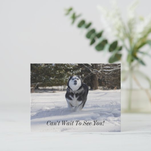 Gebühren über Postkarte (Stehend Vorderseite)