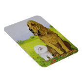 gebührend magnet (Rechte Seite)