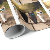 GEBURSTAG DER COOLEN KATZE GESCHENKPAPIER (Rolleneckpunkt)