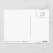 Geburt der Sterne kosmische Postkarte (Rückseite)