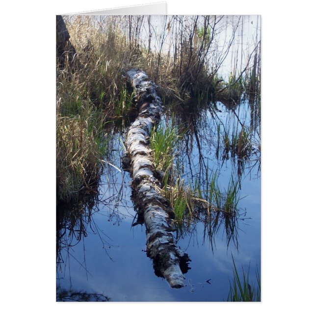 Geburt im Wasser (Vorne)