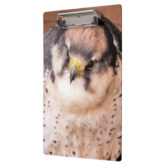 GEBURT KLEMMBRETT (Links)