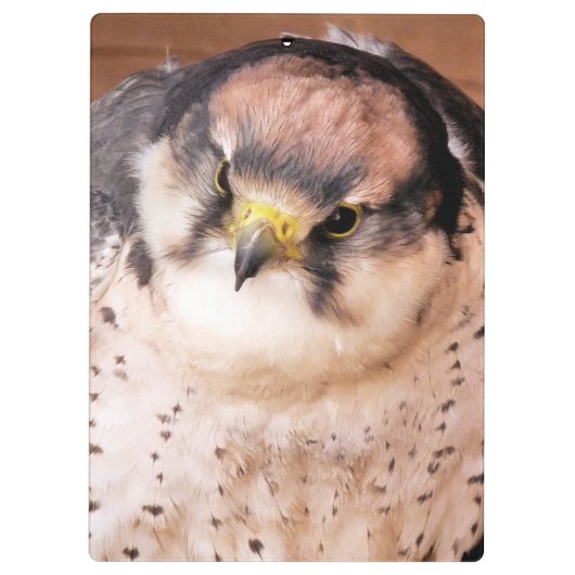 GEBURT KLEMMBRETT (Rückseite)