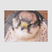 GEBURT VON PREY FALCON SEIDENPAPIER (Vorderseite)