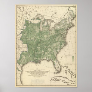 Geburtenrate USA, Statistischer Lithograph in den Poster
