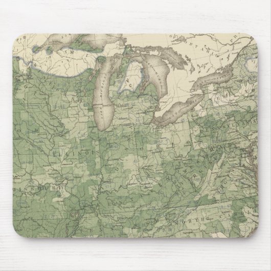 Geburtenrate USA, Statistischer US-Lithograph Mousepad (Vorne)