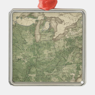 Geburtenziffer US, statistische US Lithographie Silbernes Ornament