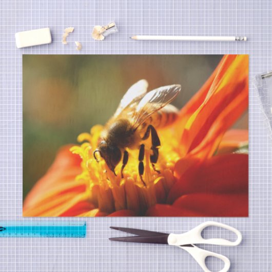 Gebürtige Biene in einem orange Seidenpapier (Handwerk)