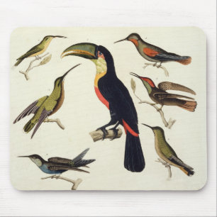 Gebürtige Vögel, einschließlich das Toucan Mousepad