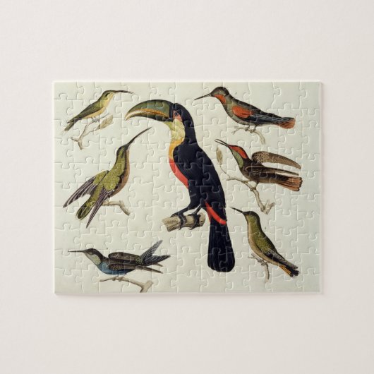 Gebürtige Vögel, einschließlich das Toucan Puzzle (Horizontal)