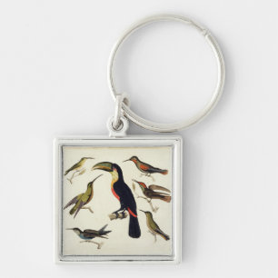 Gebürtige Vögel, einschließlich das Toucan Schlüsselanhänger