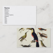 Gebürtige Vögel, einschließlich das Toucan Visitenkarte (Vorne/Hinten)