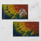 Gebürtiger Amerikaner-Visitenkarte Visitenkarte (Vorne/Hinten)