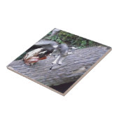 Gebürtiger Ureinwohner-Junge mit Wolf Fliese (Seite)