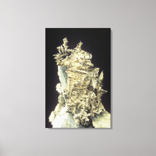 Gebürtiges Silber (AG) auf Kalkstein, Kanada Leinwanddruck