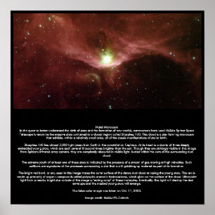 Geburts- Microkosmos Poster