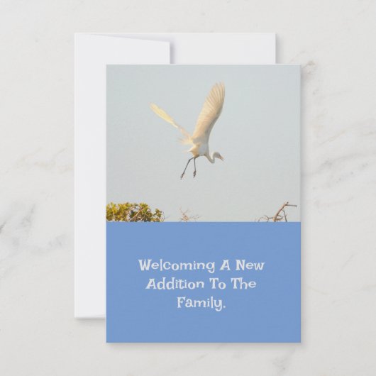 Geburtsankündigung mit flatterndem Storch. RSVP Karte (Vorderseite)