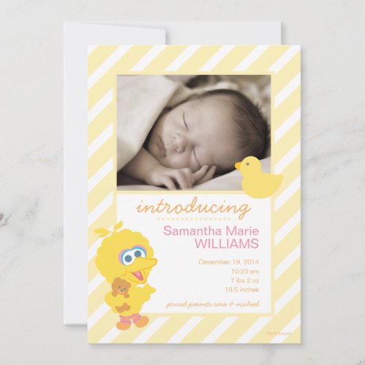 Geburtsankündigung von Big Bird Ankündigung (Vorderseite)