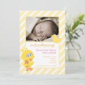 Geburtsankündigung von Big Bird Ankündigung (Stehend Vorderseite)