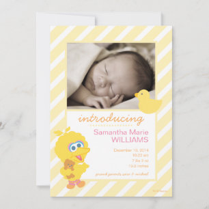 Geburtsankündigung von Big Bird Ankündigung