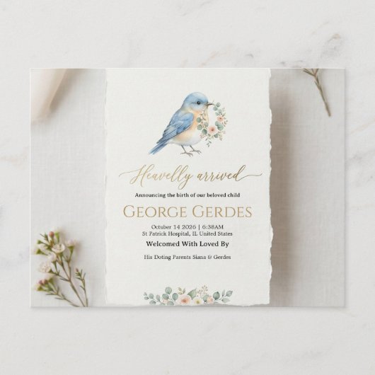 Geburtsanzeige Postkarte (Vorderseite)