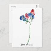 Geburtsdatum Blume Süßer Erbsen (April) Postkarte (Vorne/Hinten)