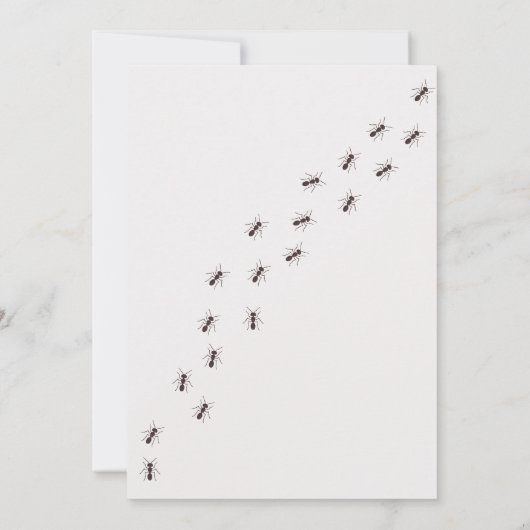 Geburtseinladung des Kindes ・ Insekteneinladung Einladung (Rückseite)