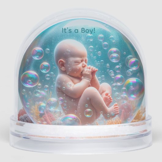 Geburtserklärung Snow Globe Schneekugeln (Vorderseite)