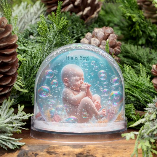 Geburtserklärung Snow Globe Schneekugeln (Winter)