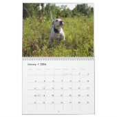 Geburtskalender 2022 "Feld der Träume" Kalender (Jan 2026)