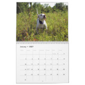 Geburtskalender 2022 "Feld der Träume" Kalender (Jan 2027)