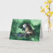 Geburtskarte "Amur Tiger" Karte (Gelbe Blume)