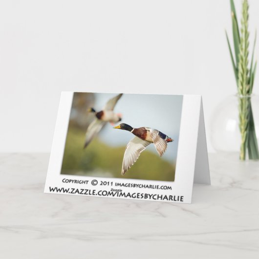 Geburtskarte der Ente (oder eines Ereignisses) Karte (Rückseite)