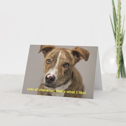 Geburtskarte des Hundes Karte (Vorderseite)